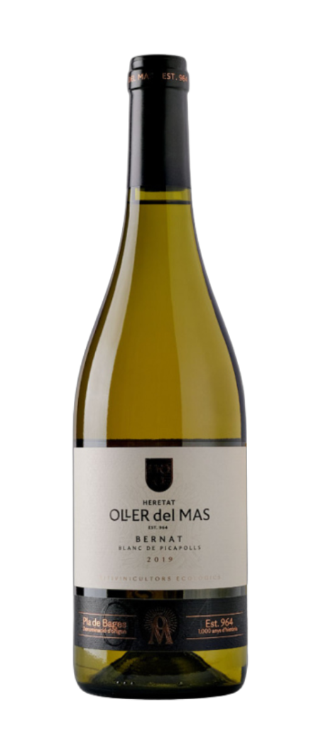 BERNAT BLANC DE PICAPOLLS D.O.
