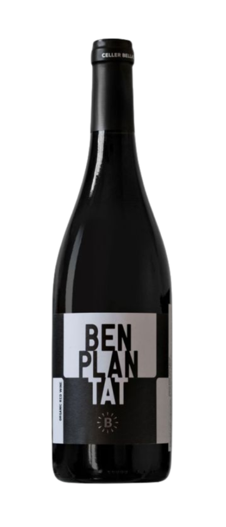 BENPLANTAT NEGRE JOVE
