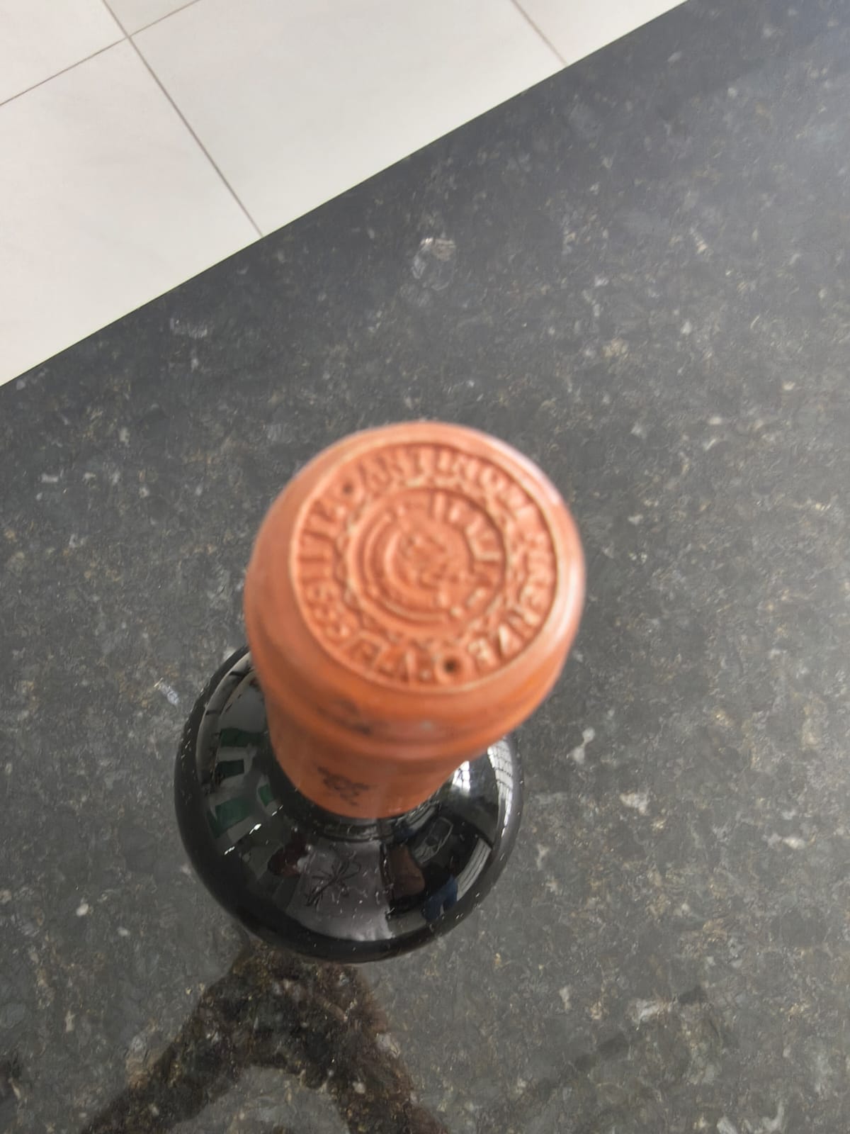 Solaia 1999