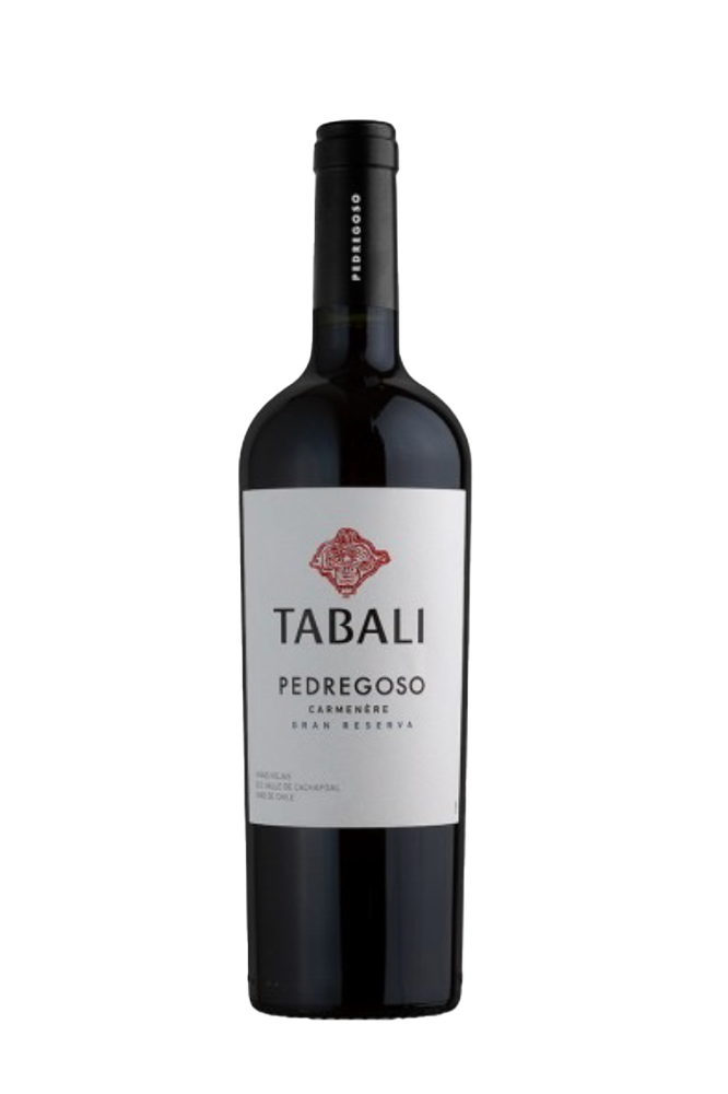 Vinho Tinto Chileno Tabali Pedregoso Carmenére 2023 750ml