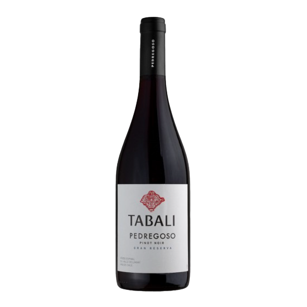 Vinho Tinto Chileno Pedregoso Pinot Noir 2023 750ml