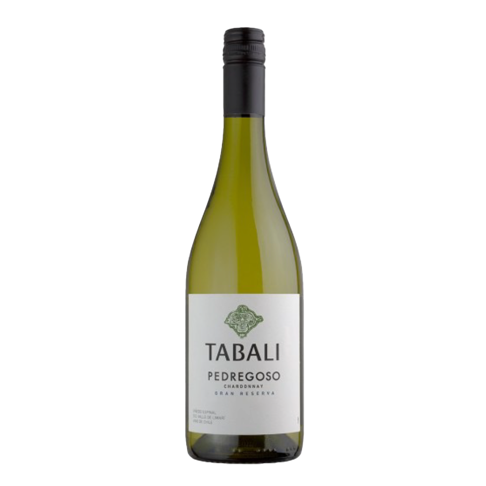 Vinho Branco Chileno Pedregoso Chardonnay 2023 750ml