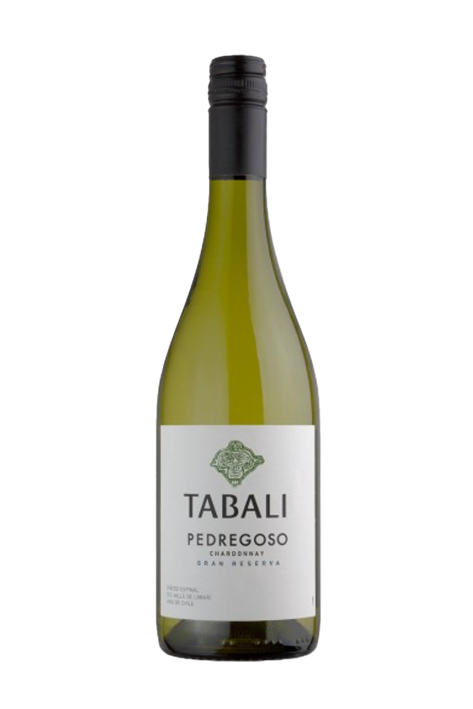 Vinho Branco Chileno Pedregoso Chardonnay 2023 750ml