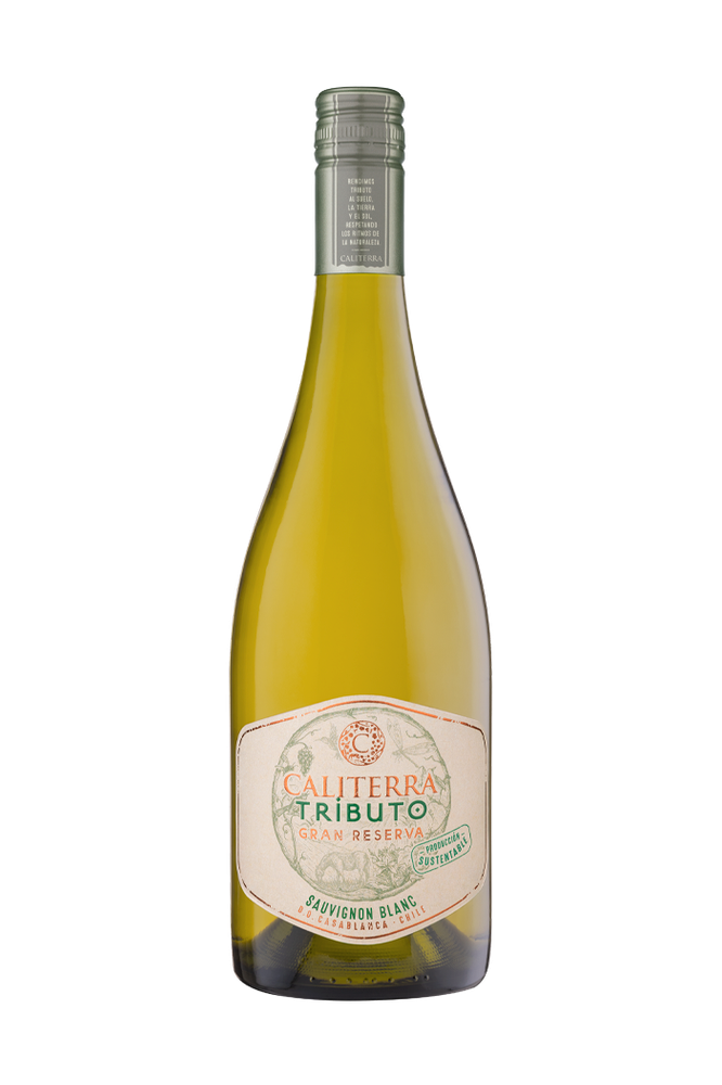 Vinho Branco Chileno Caliterra Tributo Sauvignon Blanc 2023 750ml
