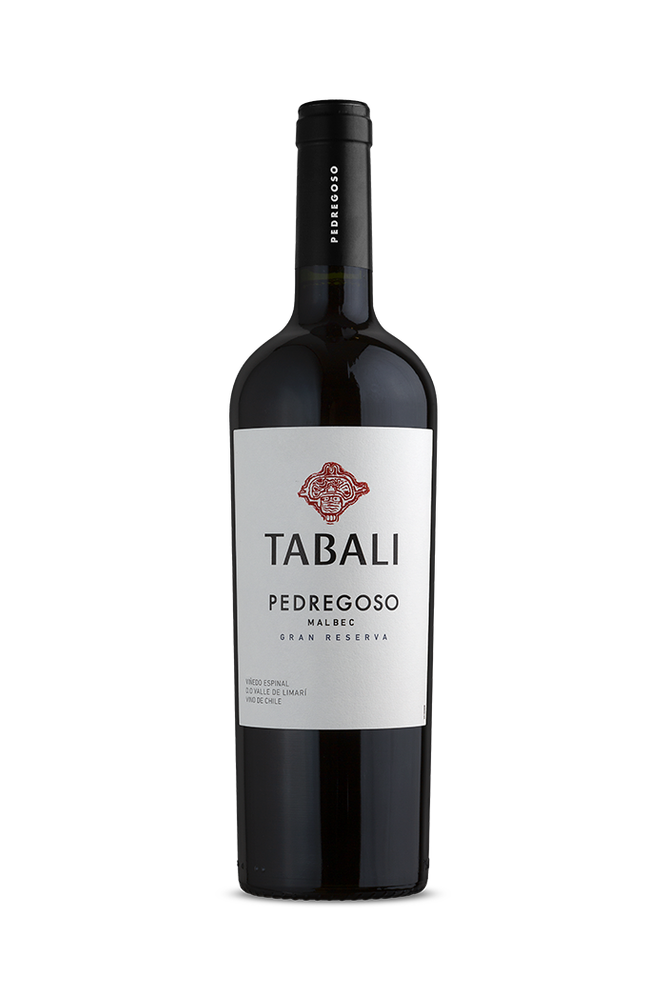 Vinho Tinto Chileno Tabali Pedregoso Malbec 2022 750ml