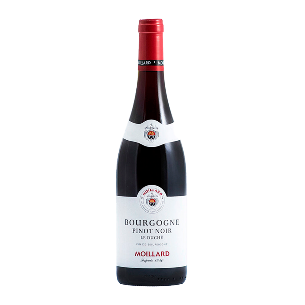 Vinho Tinto Francês Moillard Bourgogne Pinot Noir Le Duché 2021 750ml