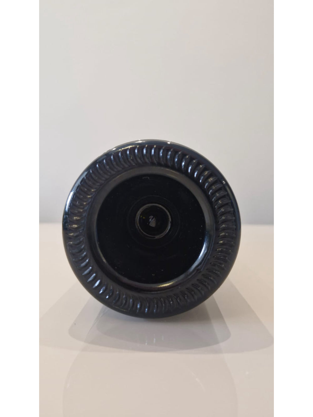 Didier Dagueneau Buisson Renard 2004