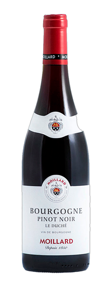 Vinho Tinto Francês Moillard Bourgogne Pinot Noir Le Duché 2021 750ml.