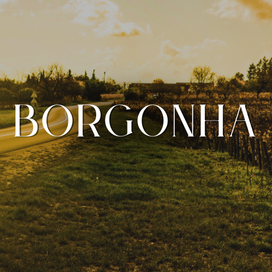 Borgonha
