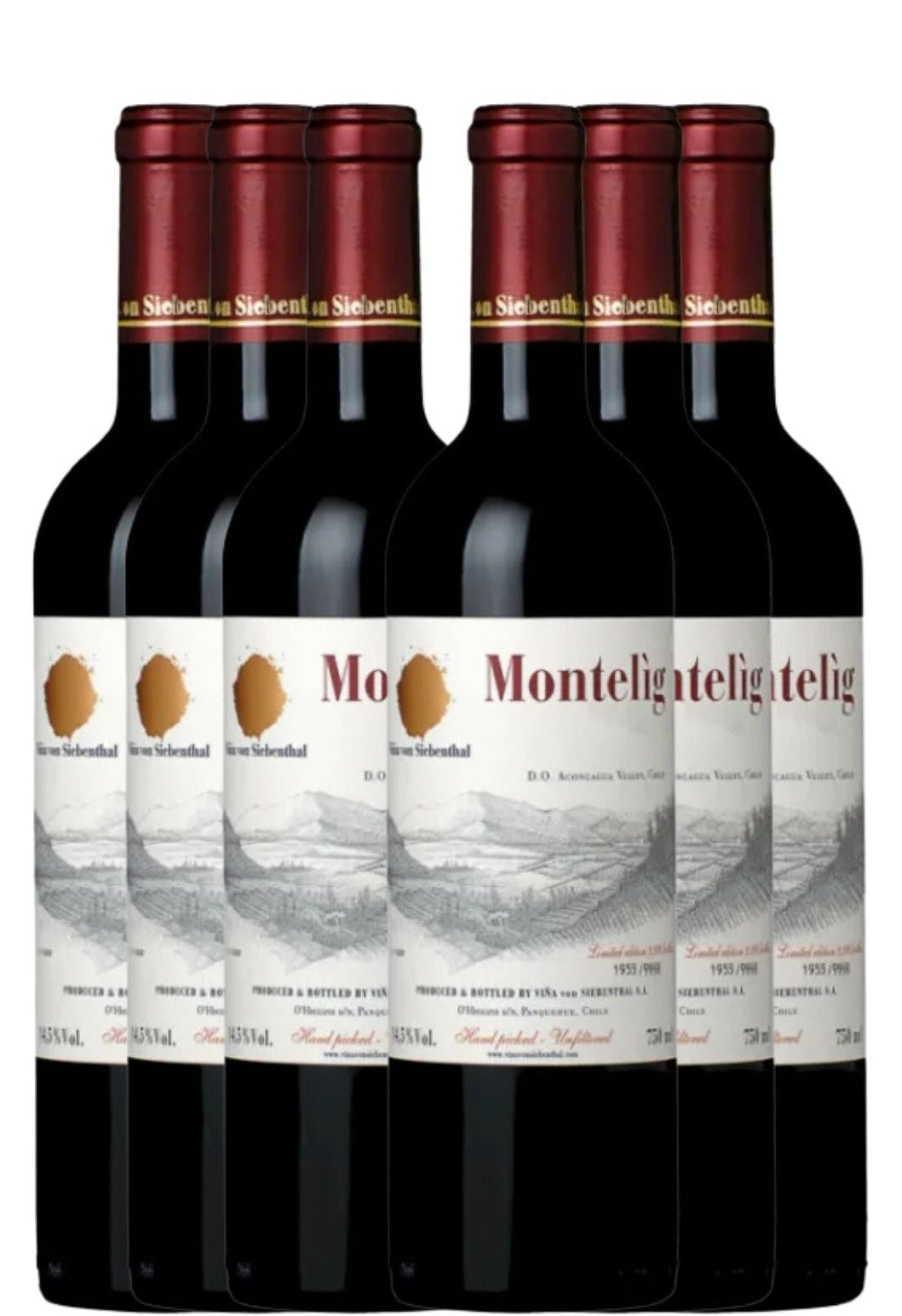 Caixa Vertical Montelig – 2010 a 2015