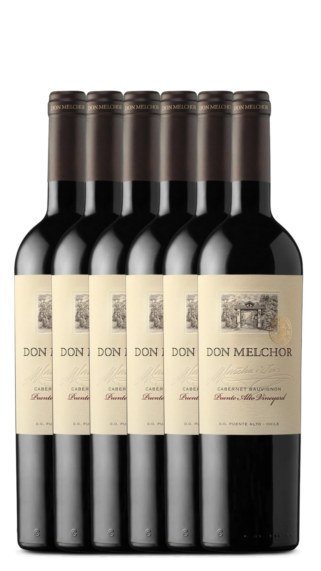 Vertical Safras Antigas de Don Melchor (2016 a 2021)