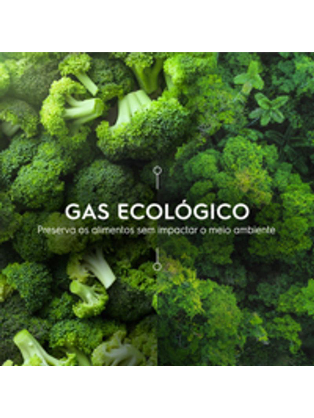 Adega Electrolux WDF29 29 Garrafas Preta