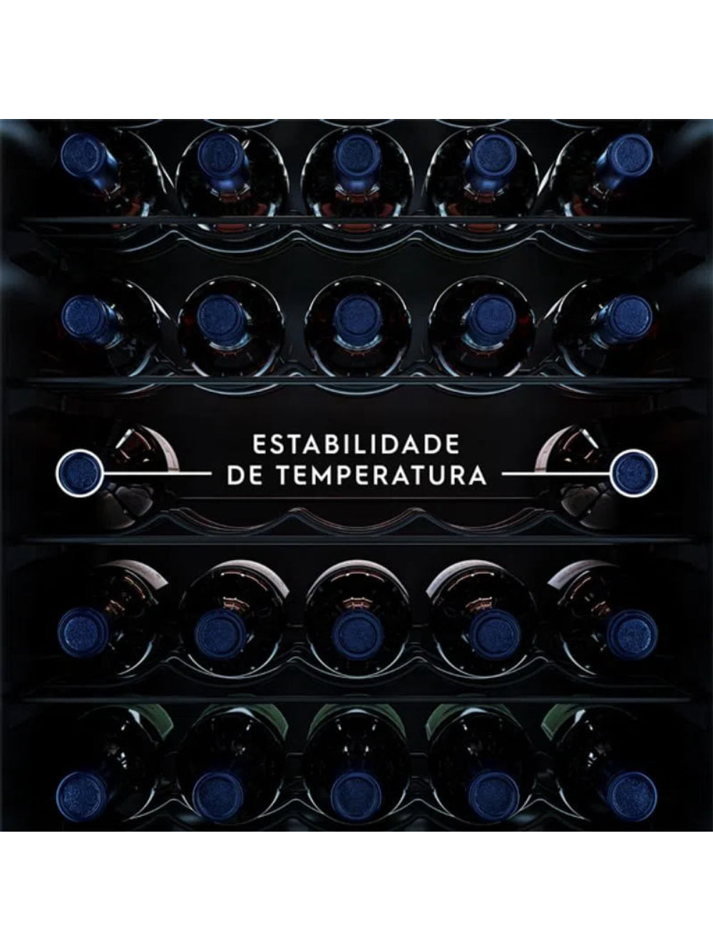 Adega Electrolux 24 Garrafas WSF24 Preta 110V 01242WBA135