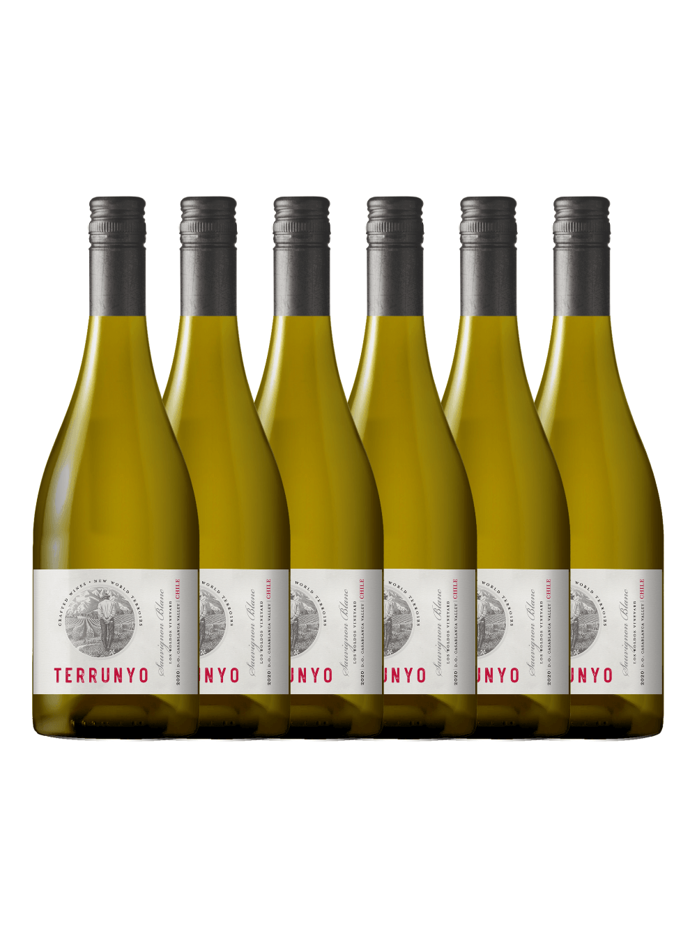 Kit 6 Vinhos Chilenos Terrunyo Sauvignon Blanc 750Ml