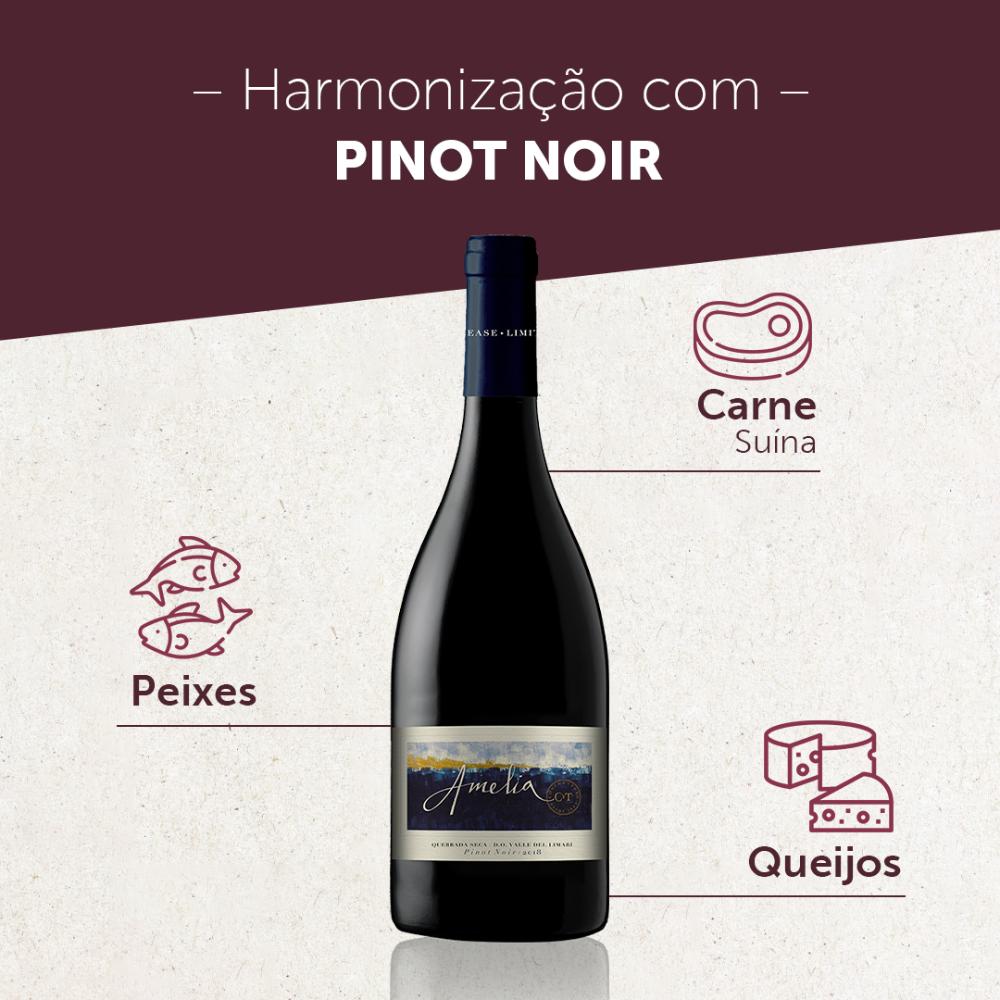 VINHO CHILENO AMELIA PINOT NOIR - CONCHA Y TORO