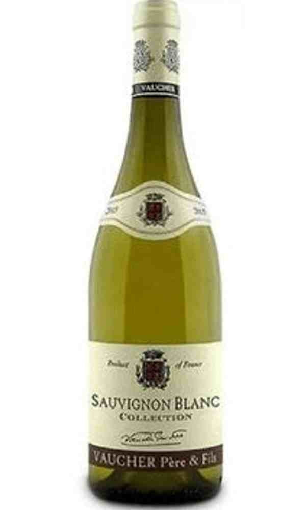 Vaucher Père & Fils Sauvignon Blanc - França