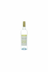 Melodia Verde Branco-MCF - Portugues