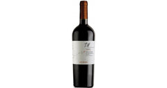 T.H Undurraga Carignan -- Vinho Chileno