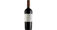 T.H Undurraga Carmenere D.O - Chile