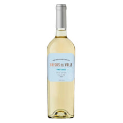 Vinho Brisas Del Valle Pinot Grigio - Chile