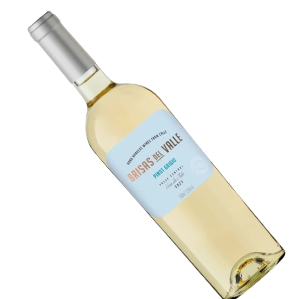 Vinho Brisas Del Valle Pinot Grigio - Chile
