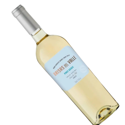Vinho Brisas Del Valle Pinot Grigio - Chile