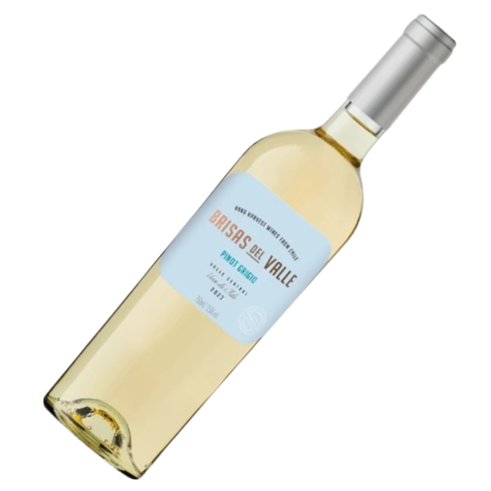 Vinho Brisas Del Valle Pinot Grigio - Chile