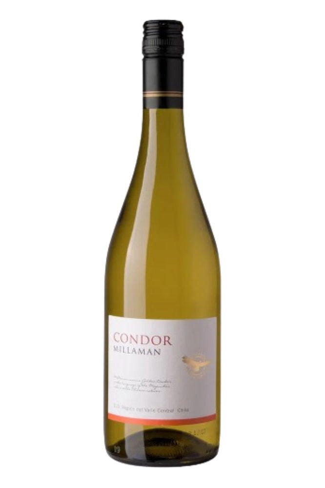 Condor Millaman Chardonnay - Chile