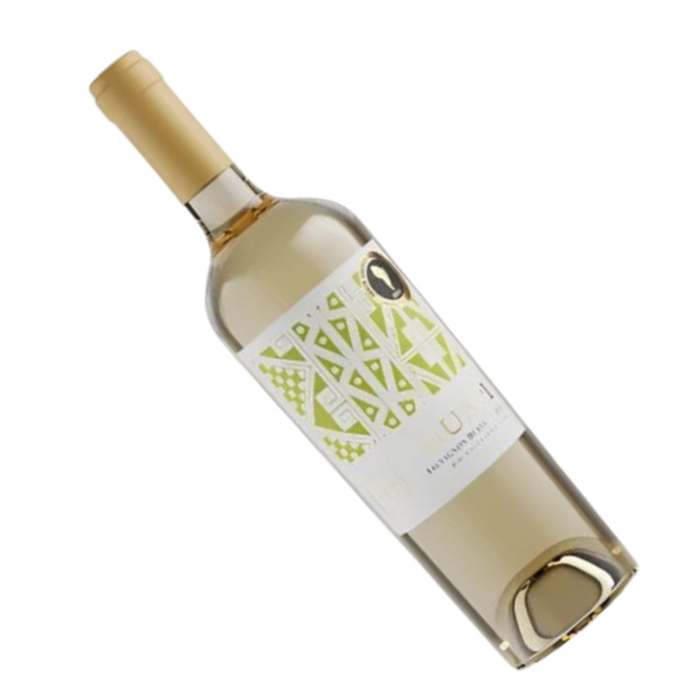 Guapi Sauvignon Blanc - Chile