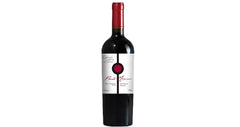 Punto Maximo Syrah - Chile