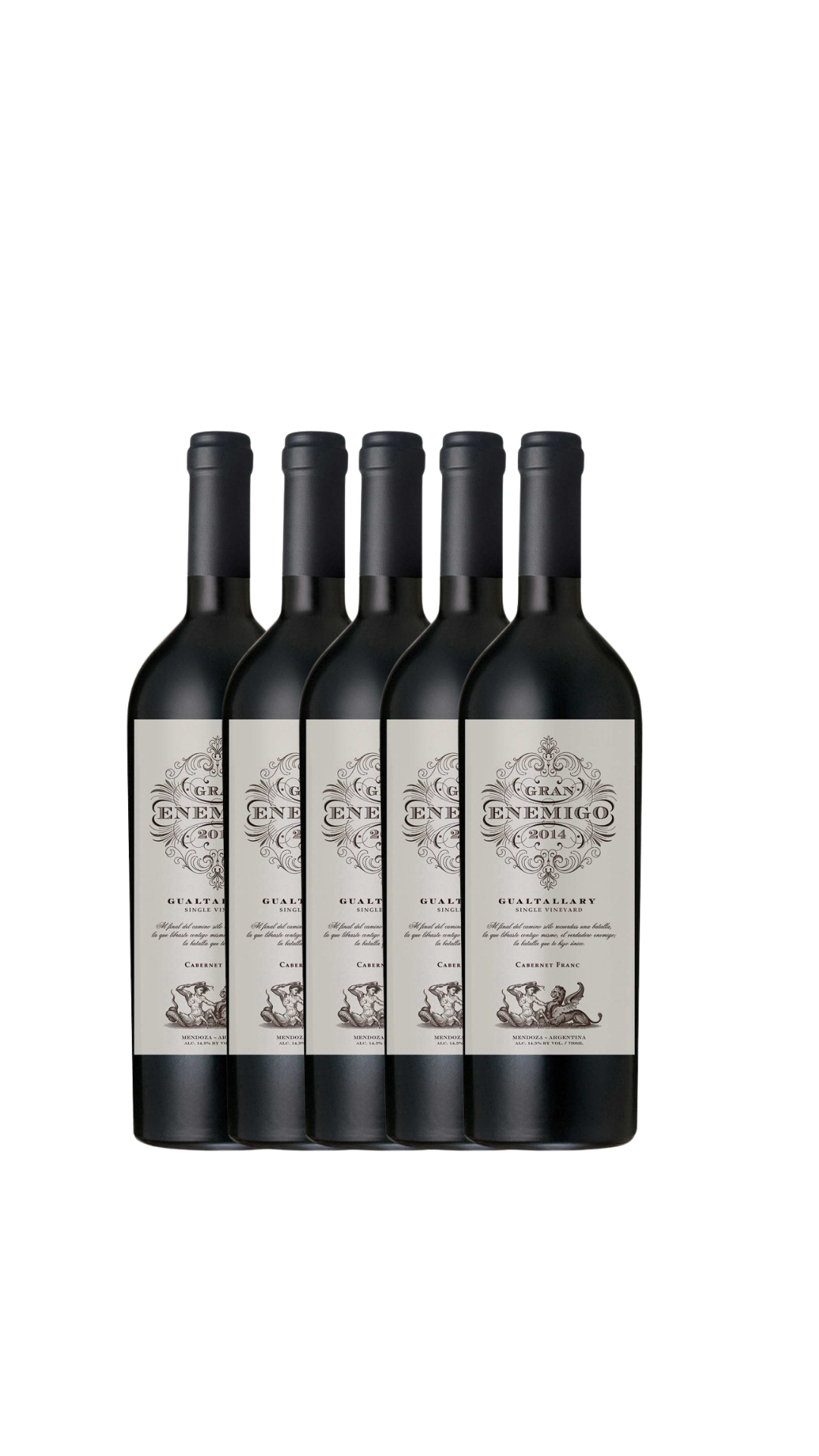 Vertical Gran Enemigo 2015 a 2019