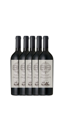 Vertical Gran Enemigo 2015 a 2019