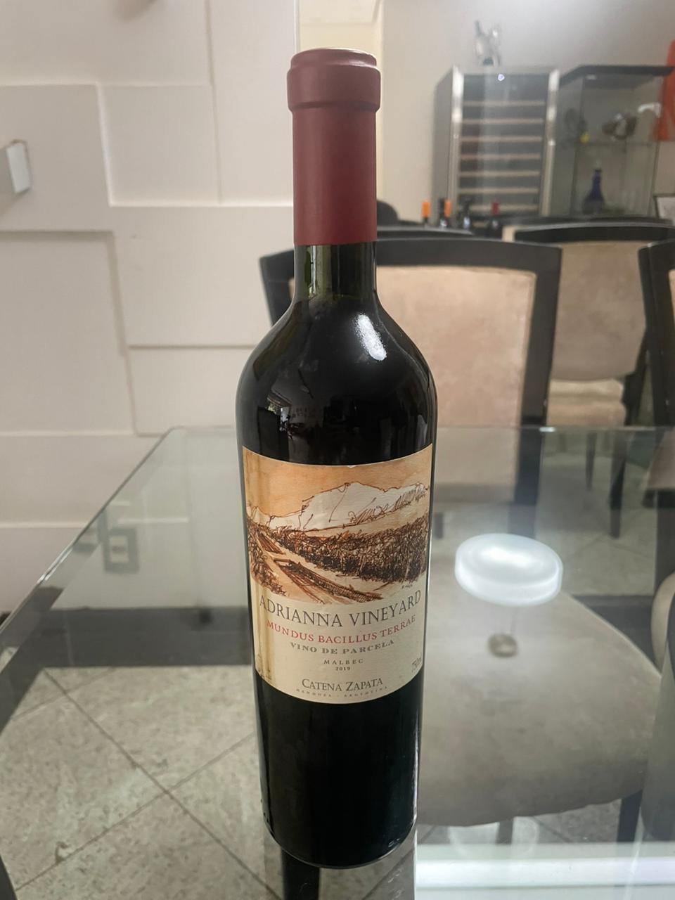 Adrianna Vineyard Mundus Bacillus Terrae Malbec 2019