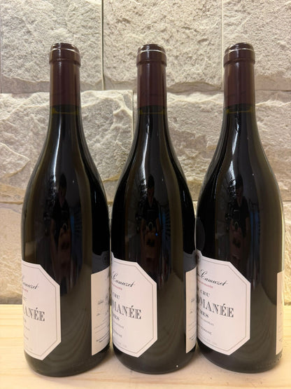 Domaine Meo-Camuzet Vosne-Romanee Les Chaumes 2019