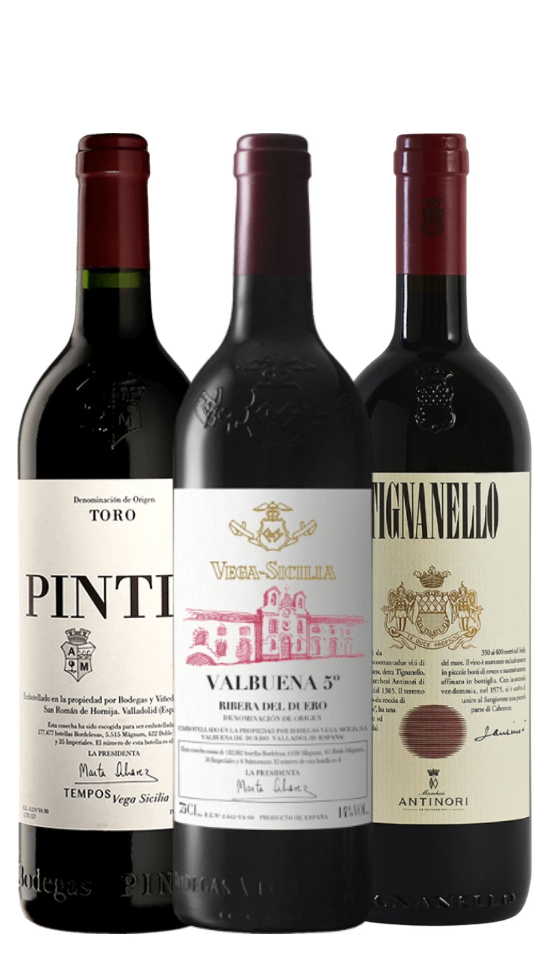 Experiência Velho Mundo (Pintia, Tignanello , Valbuena)