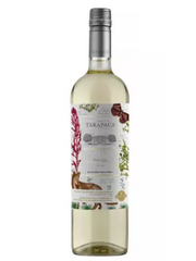 Tarapacá Varietal Biodiversity Pinot Grigio