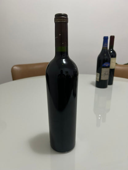 Don Melchor 2004