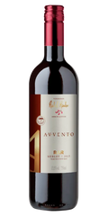 VINHO RAR AVVENTO MERLOT TINTO
