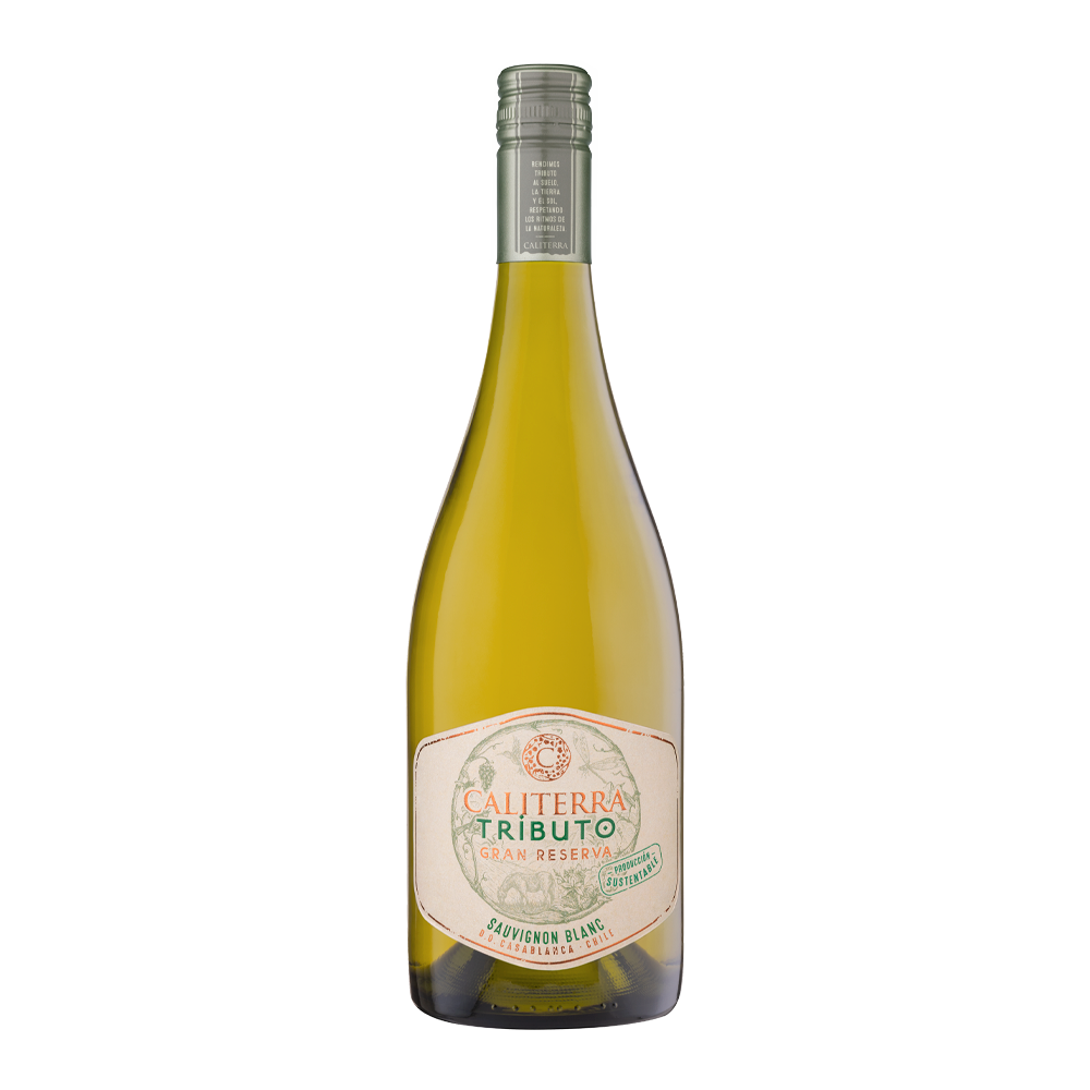 Vinho Branco Chileno Caliterra Tributo Sauvignon Blanc 2023 750ml
