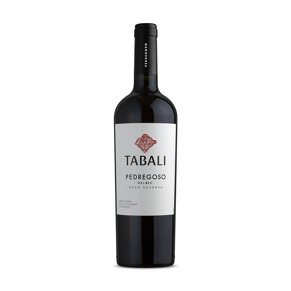 Vinho Tinto Chileno Tabali Pedregoso Malbec 2022 750ml