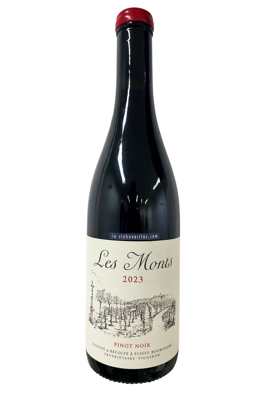 Bourgogne Hautes Côtes de Beaune 2023 - Les Monts