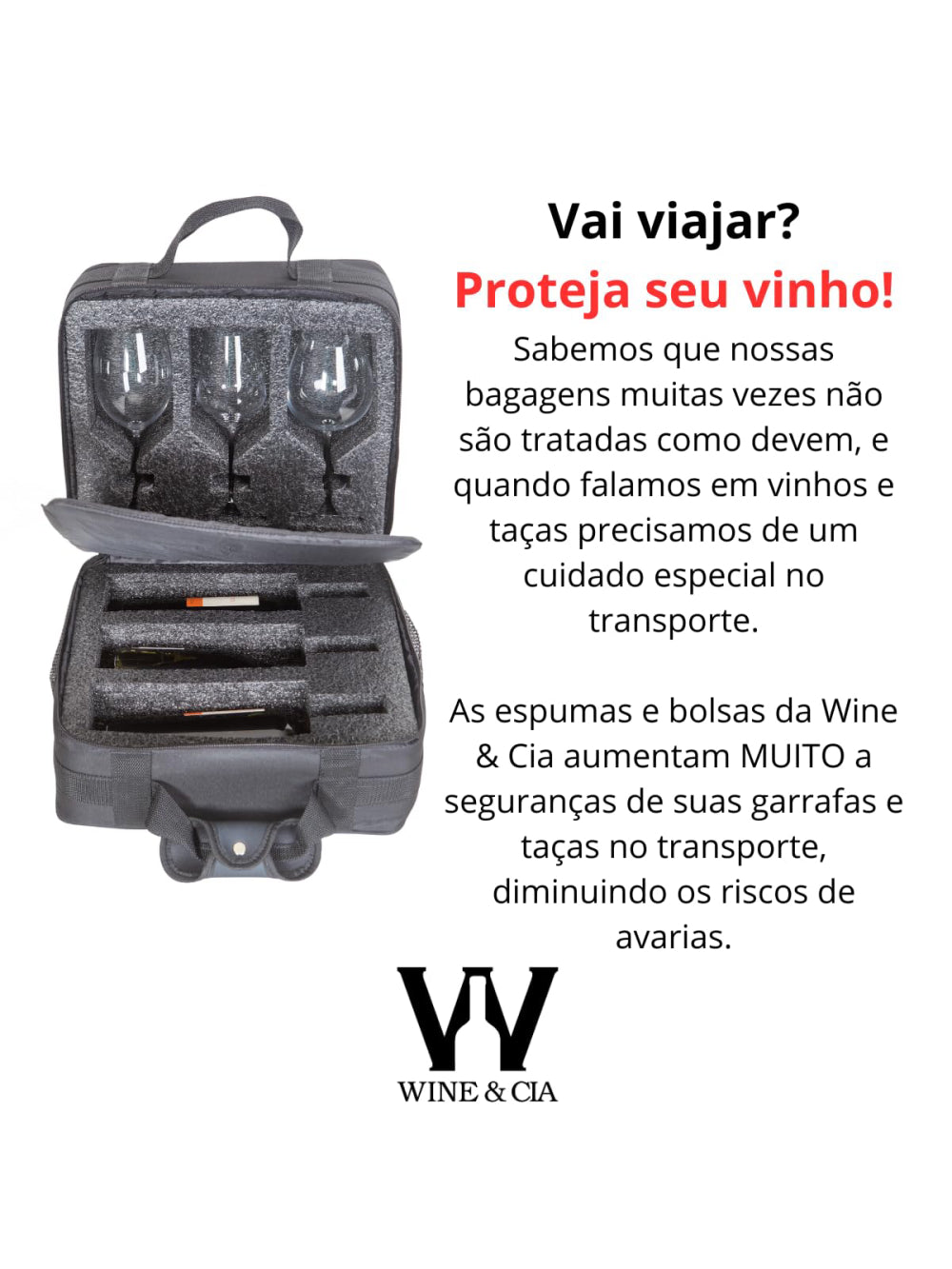 Mala Com Espuma Protetora EZ Trip Preto 4 Garrafas e 2 Taças