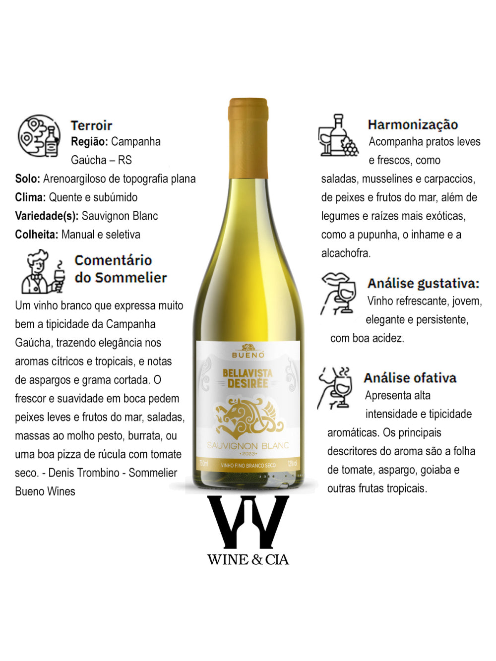 Vinho Bueno Sauvignon Blanc - Safra 2023