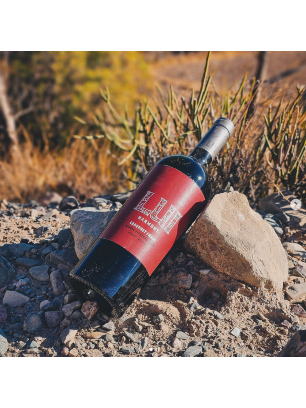 VINHO LUI HARMONY GRAN RESERVA CABERNET FRANC 750 ML