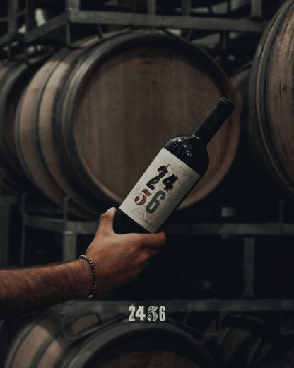 VINHO 2456 CABERNET FRANC RESERVA 750ML