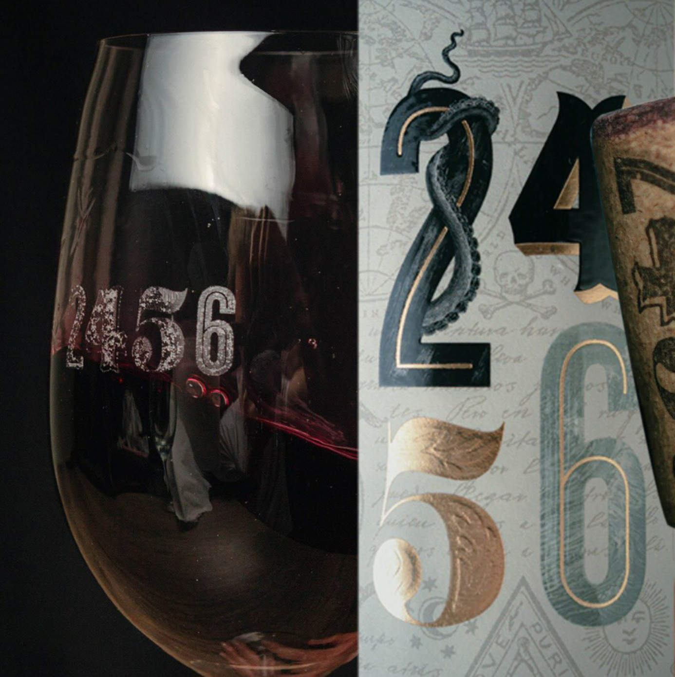 VINHO 2456 CABERNET FRANC RESERVA 750ML