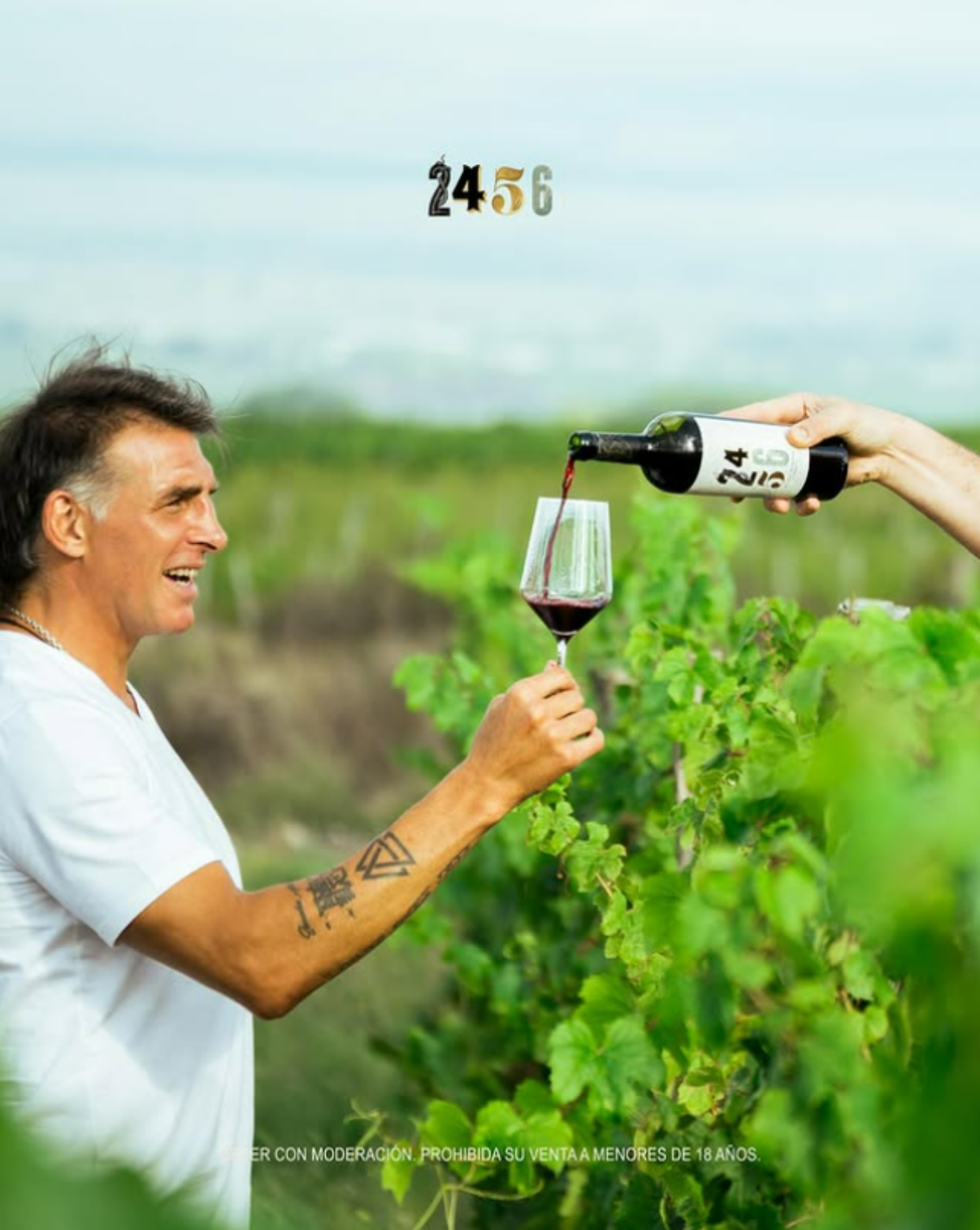 VINHO 2456 BLEND RESERVA 750ML