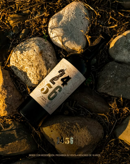 VINHO 2456 BLEND RESERVA 750ML
