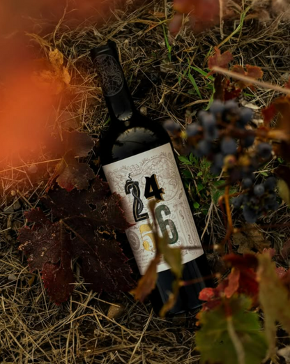 VINHO 2456 BLEND RESERVA 750ML