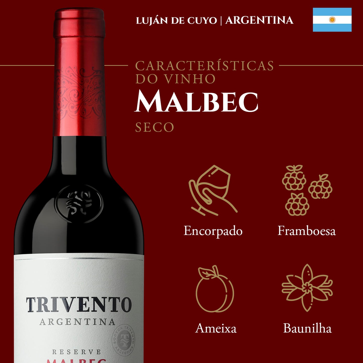 Vinho Tinto Argentino Trivento Reserve Malbec Seco 750 ml